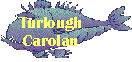 Carolan
